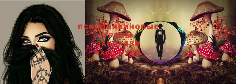 Псилоцибиновые грибы Magic Shrooms  где купить наркоту  Володарск 